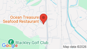 google map image