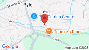 google map image