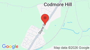 google map image