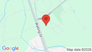 google map image