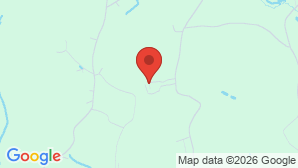 google map image