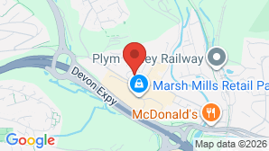 google map image