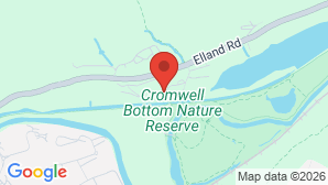 google map image