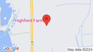 google map image