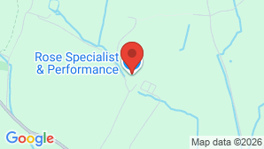 google map image