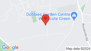 google map image