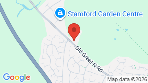 google map image