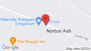 google map image