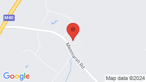 google map image
