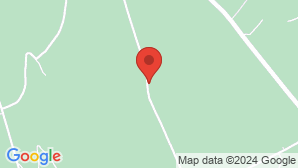 google map image