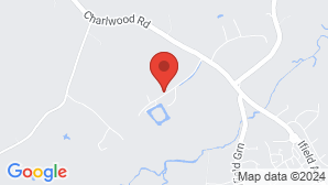 google map image