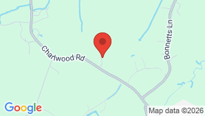 google map image