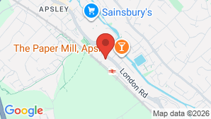 google map image