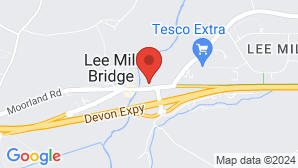 google map image