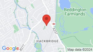 google map image
