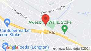 google map image