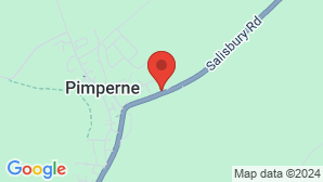 google map image