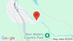 google map image