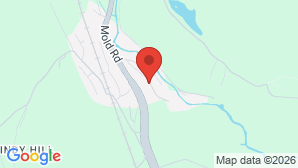 google map image