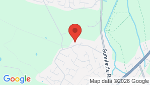 google map image