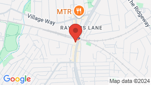 google map image
