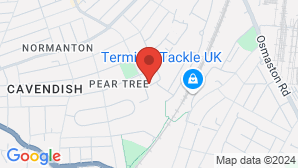 google map image