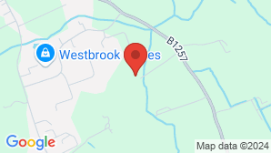 google map image