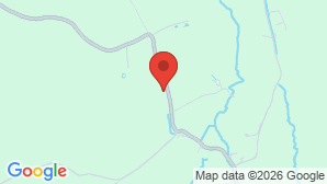 google map image