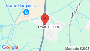 google map image