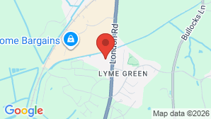google map image