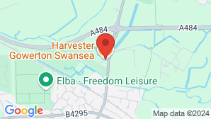 google map image