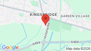 google map image