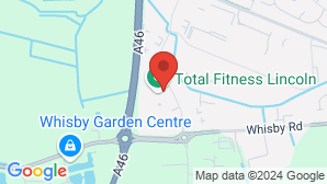 google map image