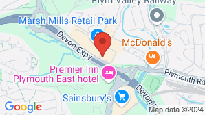 google map image