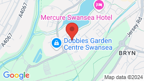 google map image