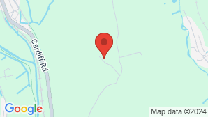 google map image