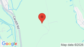 google map image