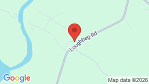 google map image