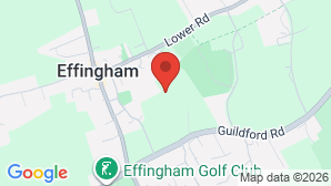 google map image