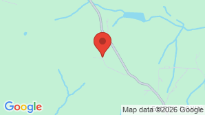 google map image