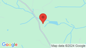 google map image