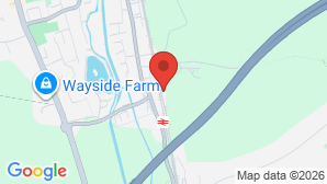 google map image