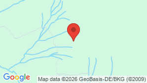 google map image