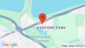 google map image