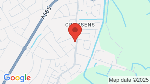 google map image