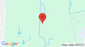 google map image
