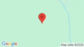 google map image