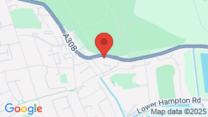 google map image