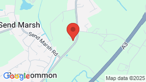 google map image