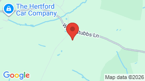 google map image